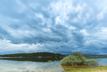 Pita beach, in swamp of Cuerda del Pozo (Vinuesa, Soria - Spain).