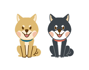 Obraz premium 柴犬