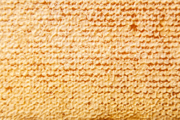 Honeycomb in a wooden frame