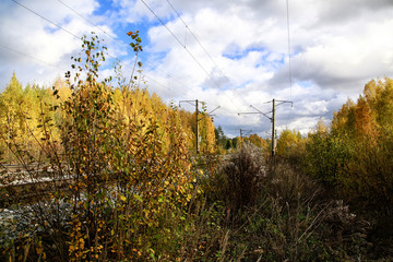 Naklejka premium Railway in autumn forest