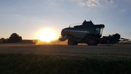 Fototapeta premium harvester with sunset