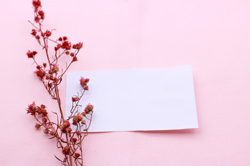 Red dried flowers with paper note on pink background.