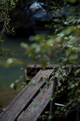 Plank middle of lake with leaves