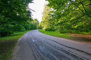 Obraz premium The asphalt wet road passes through a green deciduous forest. Beautiful area for otosession and for mushroom picking in the autumn time