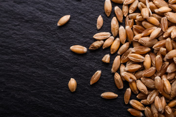 spelt seeds on a dark stone background