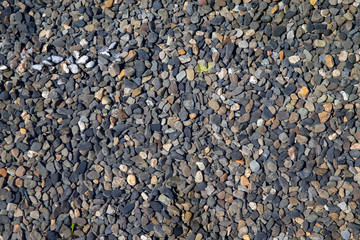 Small Rock Textured background, beach.