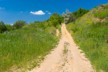 Summer landscape with sandy road through overgrown ravine