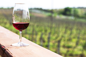 Glasses with wine. Red, pink, white wine in glasses.