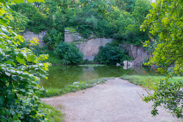 A small pond with dirty water and a clogged stack among the green trees