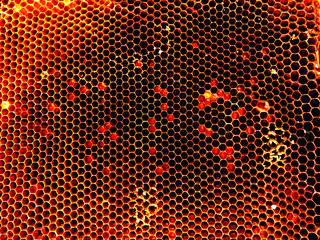 Background hexagon texture, wax honeycomb