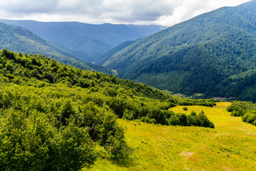 A sunny forest glade against the backdrop of a large mountain valley and a cloudy gray sky