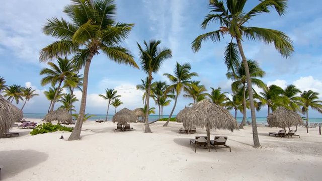 Sri Lanka Island. Beach, palm trees, white sand\The best beaches in the world. Sun umbrellas and palms on a beautiful beach.
