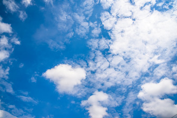 Obraz premium white fluffy clouds in the blue sky