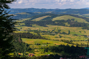 A panorama of green hills with dark spots of high wood in the Carpathians