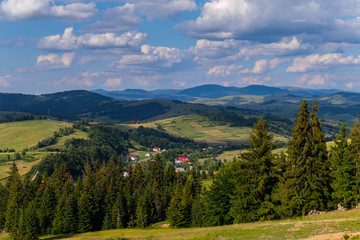 Fototapeta premium The green slope of the mountain with tall coniferous trees and a small pretty village in the background