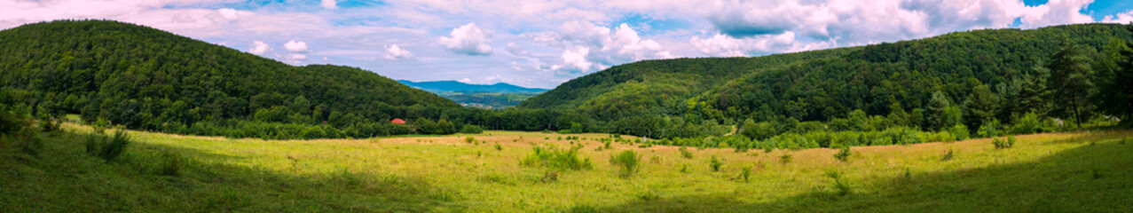 Fototapeta na wymiar A magnificent panorama of a lush valley covered with grass and a low bush lying between high slopes with green thick trees.
