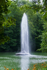 Beautiful view from behind the green foliage of the trees to the fountain in the middle of the pond with a clear stream of water hitting high up.