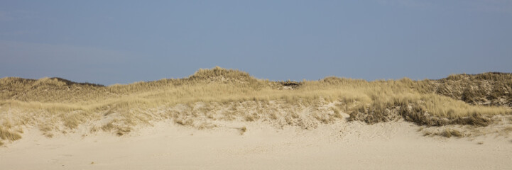 Dünenlandschaft, Küste, Sylt, Nordfriesische Insel, Nordfriesland, Schleswig-Holstein, Deutschland, Europa