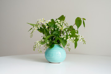 Branch of blossoming bird cherry stands in a round vase