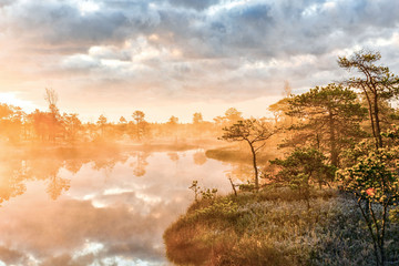 Kemeri. Latvia. Sunrise in the Kemeri bog in the cold autumn morning. - obrazy, fototapety, plakaty