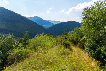 Beautiful view from a small clearing with grass to the mountainous green slopes under the hot summer sun.