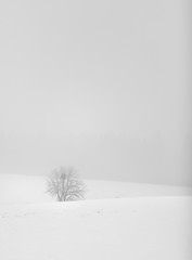 Fototapeta premium Aislamiento