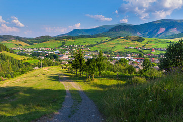 the road leading to the village, passing by the fence