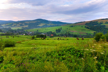 Fototapeta premium a small village in the valleys with rare plantings of trees on the background of the cloudy sky