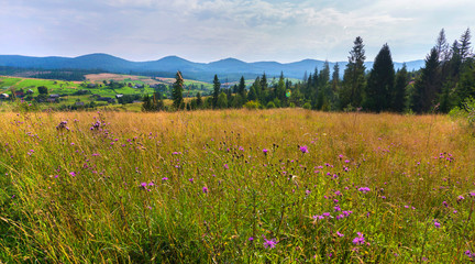 Glade with a mountain village in the background. a beautiful place to relax