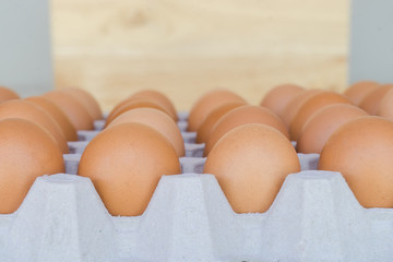 Close-up view of raw chicken eggs in egg box
