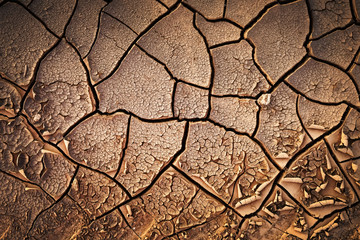 Dried cracked earth soil ground texture background. Mosaic pattern of sunny dried earth soil
