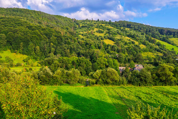 Rare roofs of rural houses peeping out among green trees growing at the bottom of the slope and along its entire length.