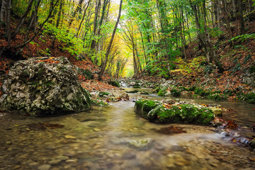 Fototapeta na wymiar Beautiful autumn landscape with mountain river, stones and colorful trees. Mountain forest in Crimea.