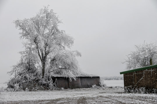 Un arbre et un petit hangar sous la neige dans la campagne de Moselle en hiver