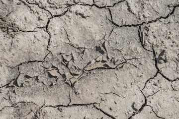 cracked soil from the sun