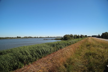 River lek, which is a lateral of river Rhine, with dykes in the sun in the Netherlands