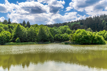 Green lake in the forest or pond in fishing district