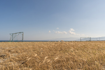 Wild football field