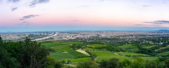 Vienna evening panorama