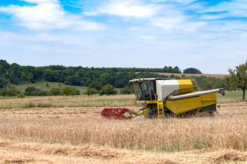 Obraz premium moissonneuse batteuse en activité sur le champ de céréales