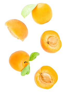 apricots with leaves flying in the air isolated on white with clipping path