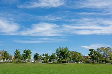 緑の芝生と青空の都市公園