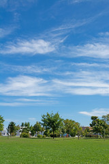 緑の芝生と青空の都市公園