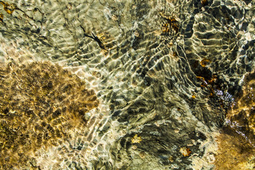 Crystal-clear water with small ripples on the surface reveals rocks with different types of moss on the ground.