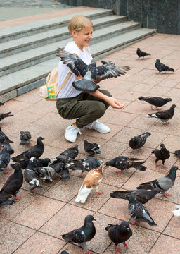 Teenager girl feeds the pigeons