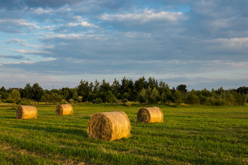 Fototapeta na wymiar Landscape with bales of straw in the meadow