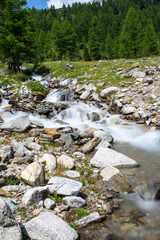 Lake Neves and nature