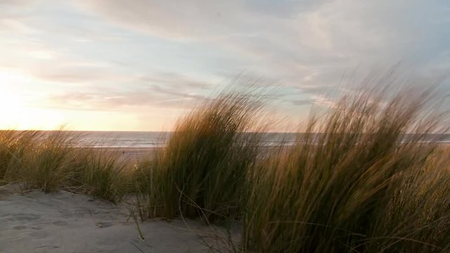 Timelapse of Dunes, beach houses and beach hook of holland, netherlands