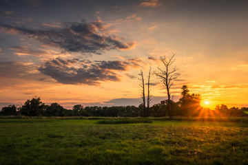 Sunset over the meadow and trees