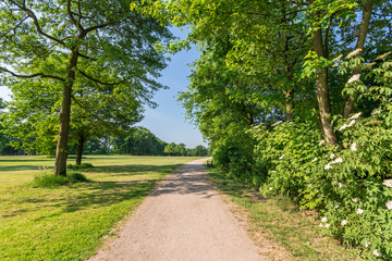 Weg Park Bäume